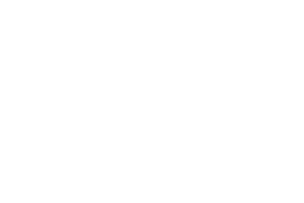 bc-logotype-light-512